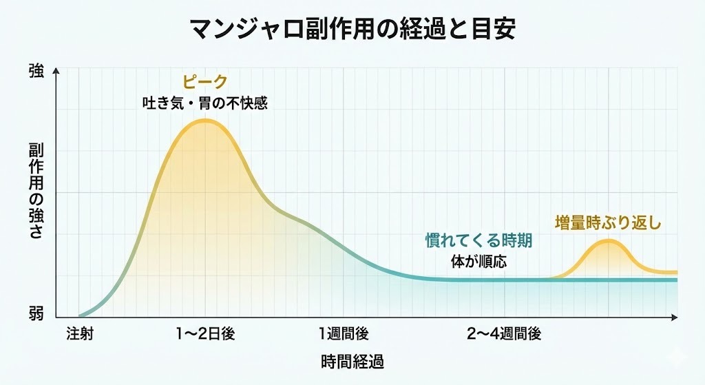 マンジャロの副作用の強さと期間を示すタイムラインのグラフ。注射後1〜2日目がピークで最も強く、1週間後から徐々に弱まり、2〜4週間後には体が慣れて落ち着く様子が描かれている。増量時に再び小さなピークが来ることも示されている。
