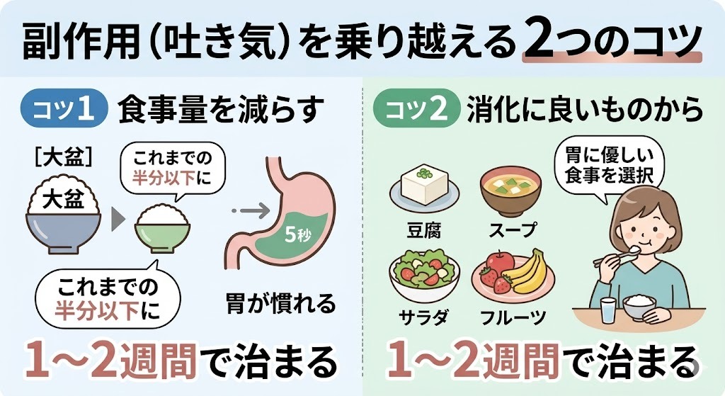 医療用ダイエット薬（GLP-1受容体作動薬）の使用初期に起こりやすい副作用（吐き気・胃のムカつき）を和らげる2つの具体的アクション（食事量を半分以下に減らす、消化に良いものから食べる）を示した、親しみやすいイラスト