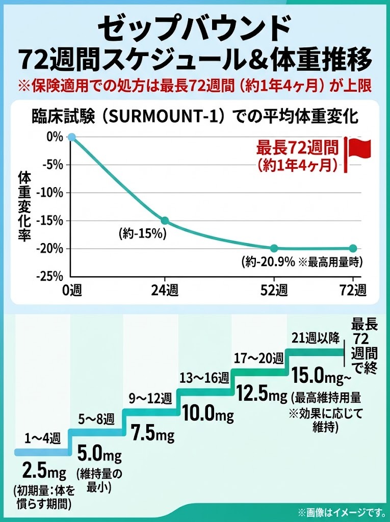 ゼップバウンドの最長72週間投与スケジュールと体重減少推移、および2.5mgから15mgまでの標準増量ステップ