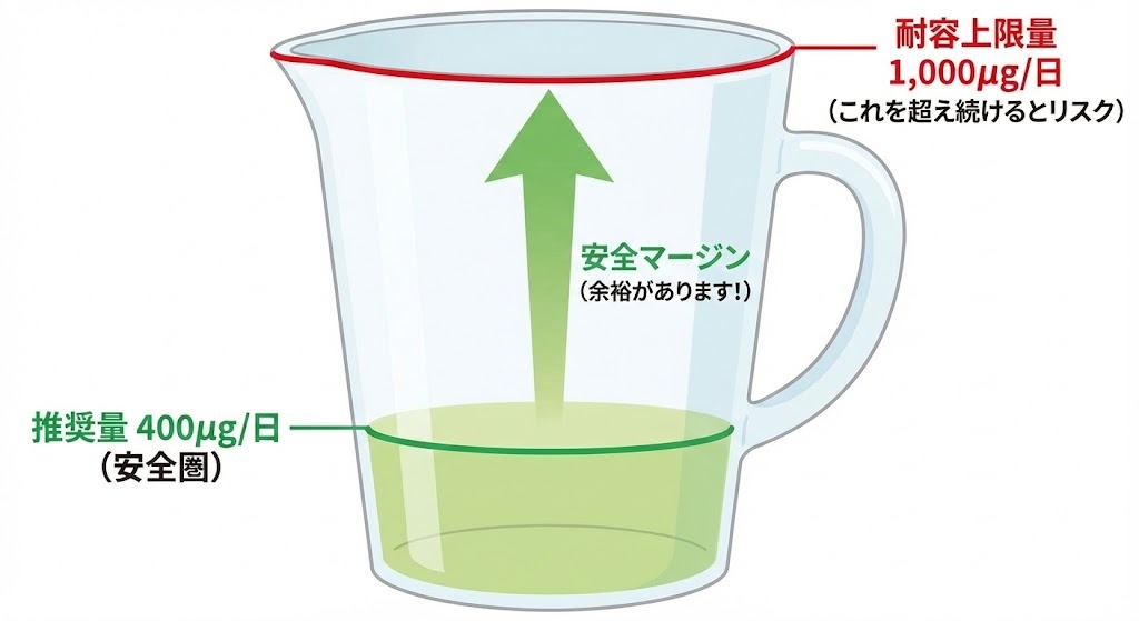 葉酸サプリの1日推奨量400μgと、耐容上限量1,000μgの安全マージンを示す図。推奨量の倍以上摂取しても安全圏内にあることが視覚的にわかる。