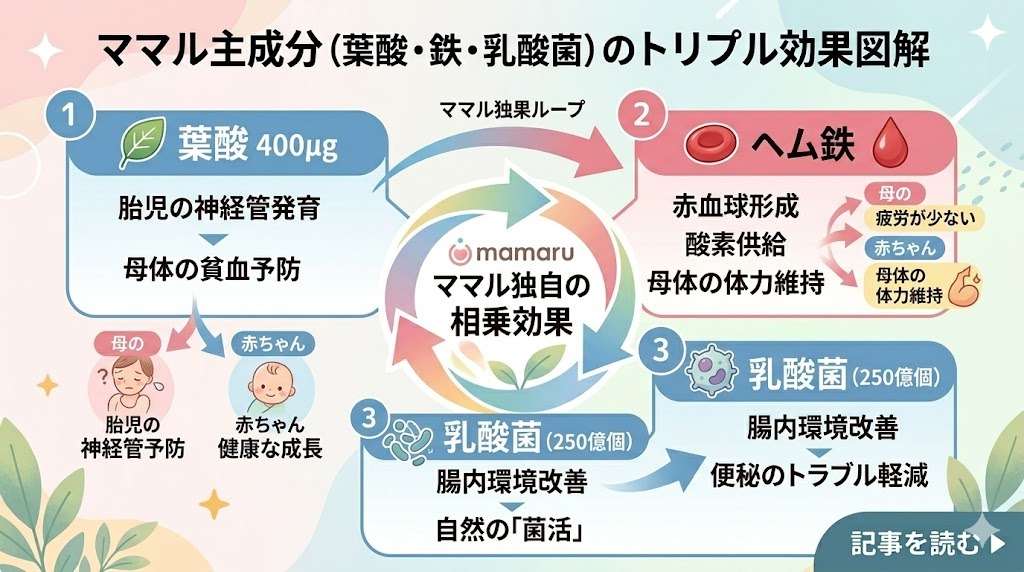 ママル主成分(葉酸・鉄・乳酸菌)のトリプル効果図解