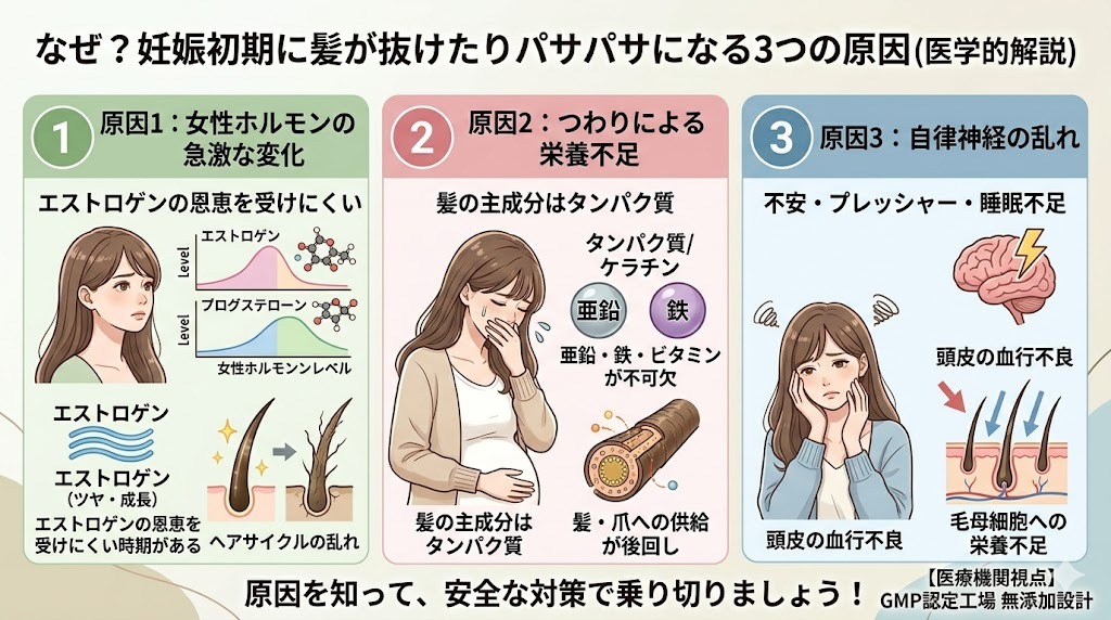 妊娠初期に髪が抜けたりパサパサになる3つの原因図解。原因1は女性ホルモンの急激な変化、原因2はつわりによるタンパク質・亜鉛・鉄分の栄養不足、原因3は不安や睡眠不足による自律神経の乱れと頭皮の血行不良です。