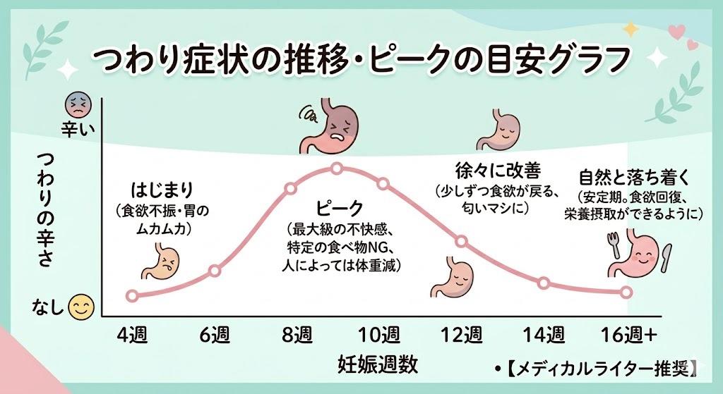 妊娠初期から安定期までのつわり症状の推移とピークの目安を示す折れ線グラフ（4週頃から始まり、8〜10週でピーク、16週以降で落ち着く）