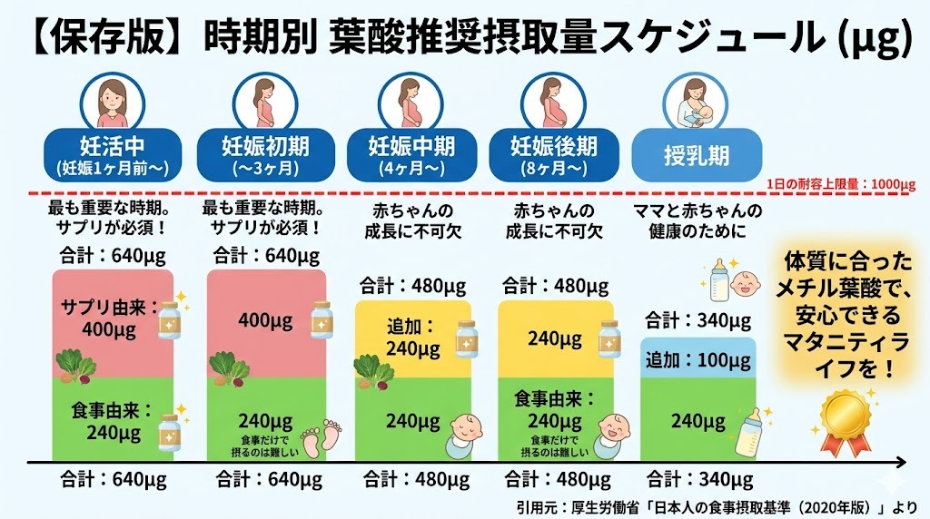 妊活中、妊娠初期、妊娠中期・後期、授乳期の時期ごとに必要な、サプリ由来と食事由来の葉酸摂取量（μg）をまとめたタイムライン図。