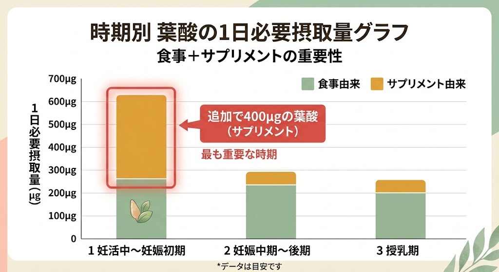 時期別の葉酸の必要摂取量グラフ。妊活中から妊娠初期はサプリで400μgの追加摂取が推奨されています。