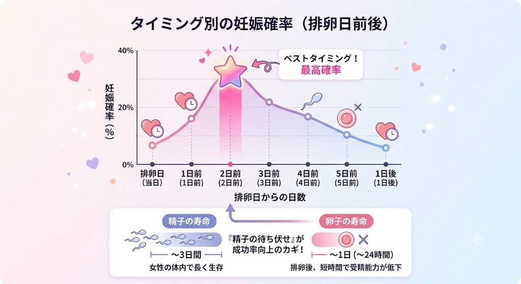 排卵日2日前をピークとする、タイミング別の妊娠確率を示すグラフ