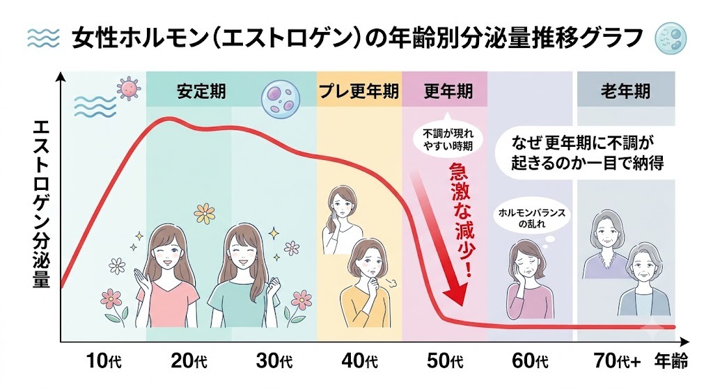 女性ホルモン(エストロゲン)を増やすには?年齢別の分泌量推移と更年期・閉経後の減少を示すグラフ