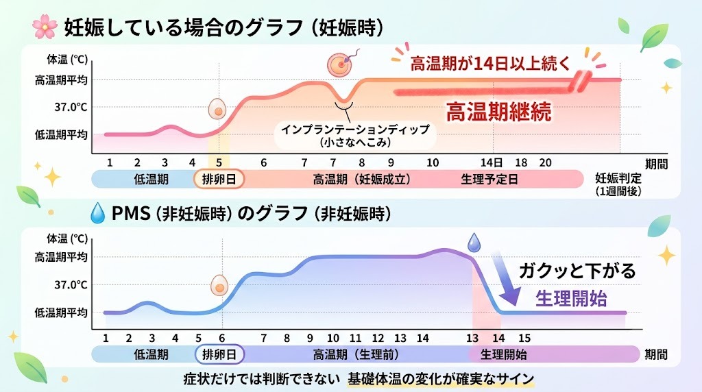 着床時（妊娠超初期）とPMS（生理前）の基礎体温グラフ比較図。妊娠時は高温期が14日以上続くのが特徴