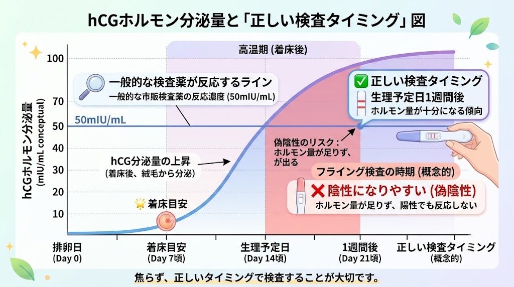 hCGホルモン分泌量と妊娠検査薬の正しい検査タイミングのグラフ。生理予定日1週間後が推奨される理由