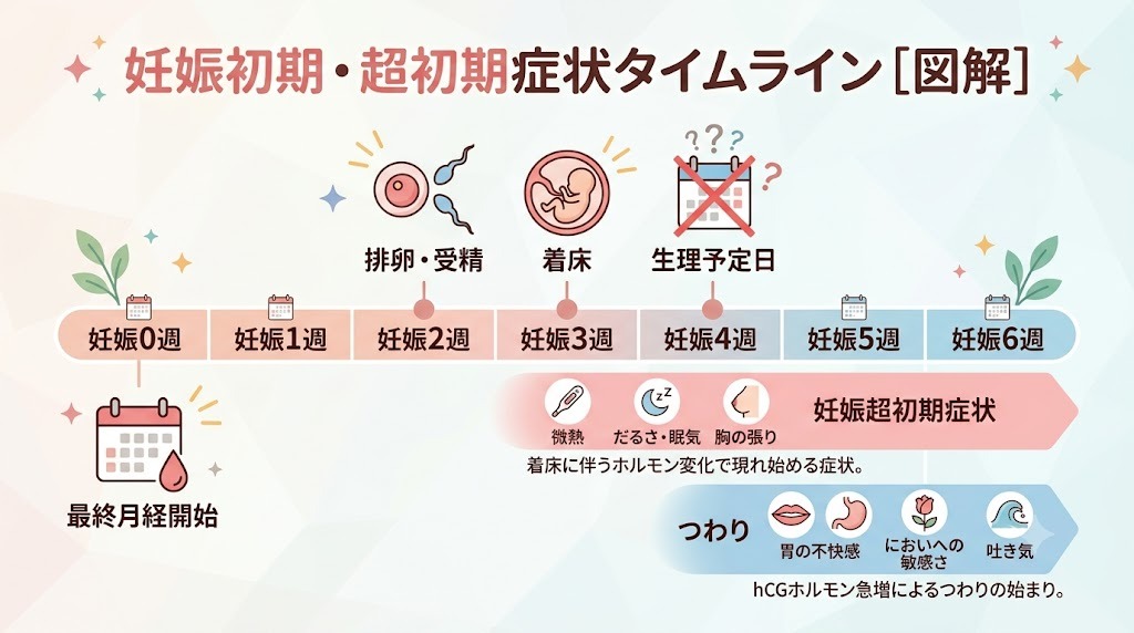妊娠週数の数え方と、妊娠超初期症状やつわりがいつから現れるかを示したタイムライン図解