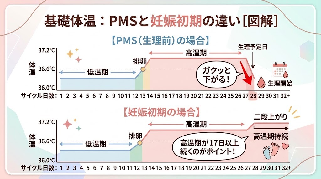 基礎体温グラフによるPMS(月経前症候群)と妊娠初期症状の違い。妊娠の場合は高温期が17日以上続くことを示す図解