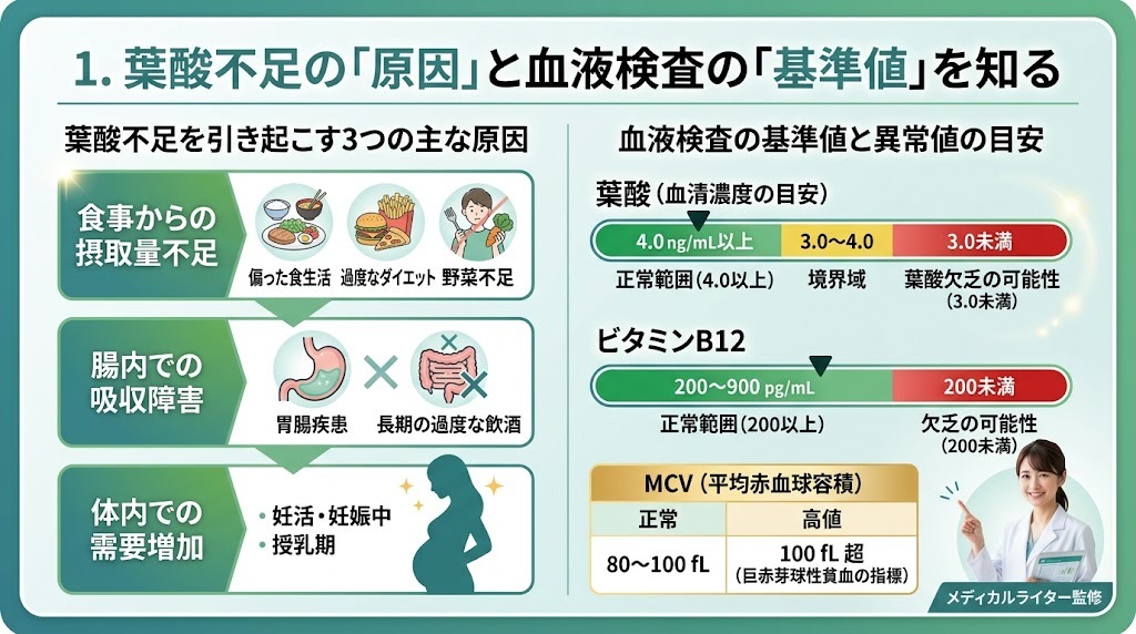 葉酸不足を引き起こす3つの原因と、血液検査における葉酸・ビタミンB12の基準値の図解