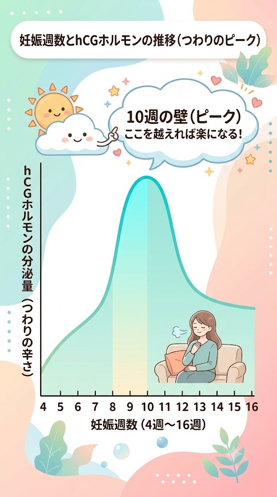 妊娠10週をピークとするhCGホルモン分泌量と、つわりが終わるサインを示す推移グラフ