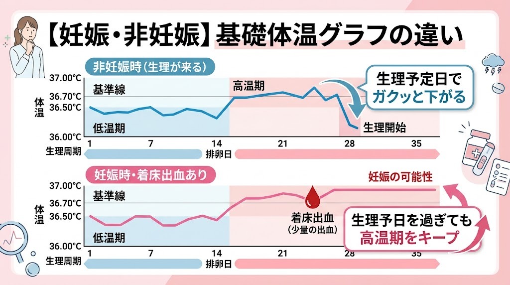 妊娠時（着床出血あり）と非妊娠時の基礎体温グラフの違い。生理予定日を過ぎても高温期がいつまでも続く、妊娠超初期のサインを図解しています。