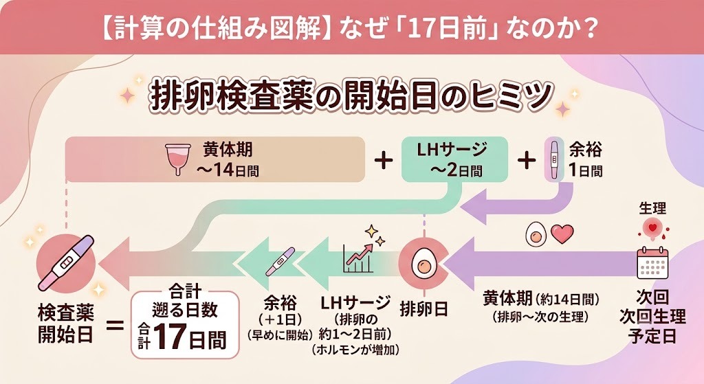 排卵検査薬はいつから使い始める？次回生理予定日から17日前を逆算する理由（黄体期・LHサージ）の仕組み図解