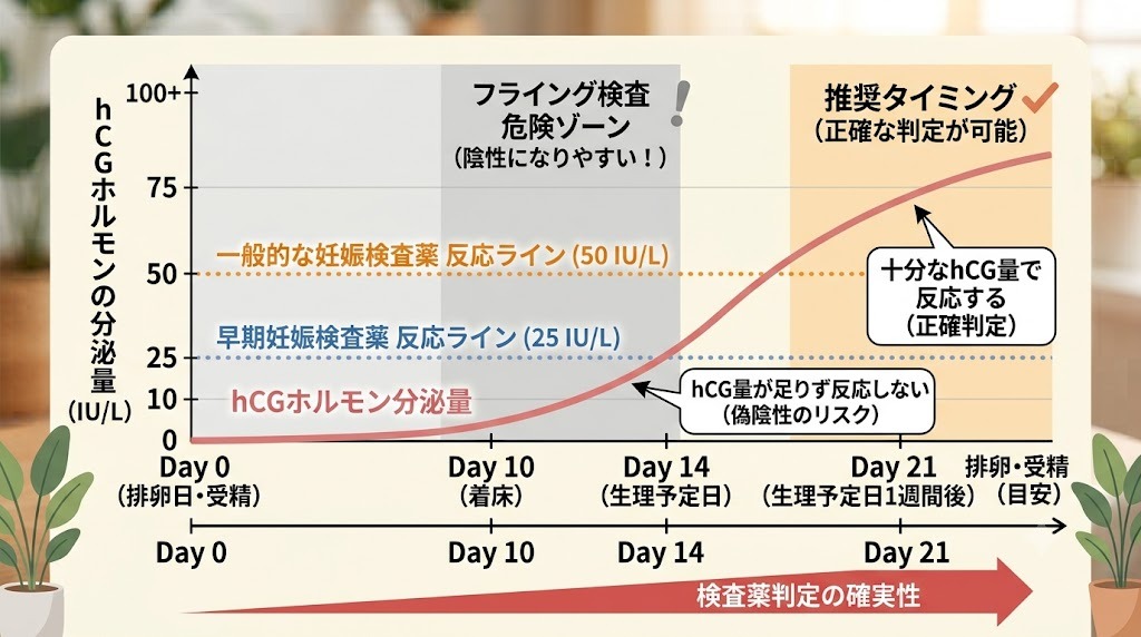 検査時期によるhCGホルモン分泌量の推移とフライング検査で陰性になるリスクを示すグラフ