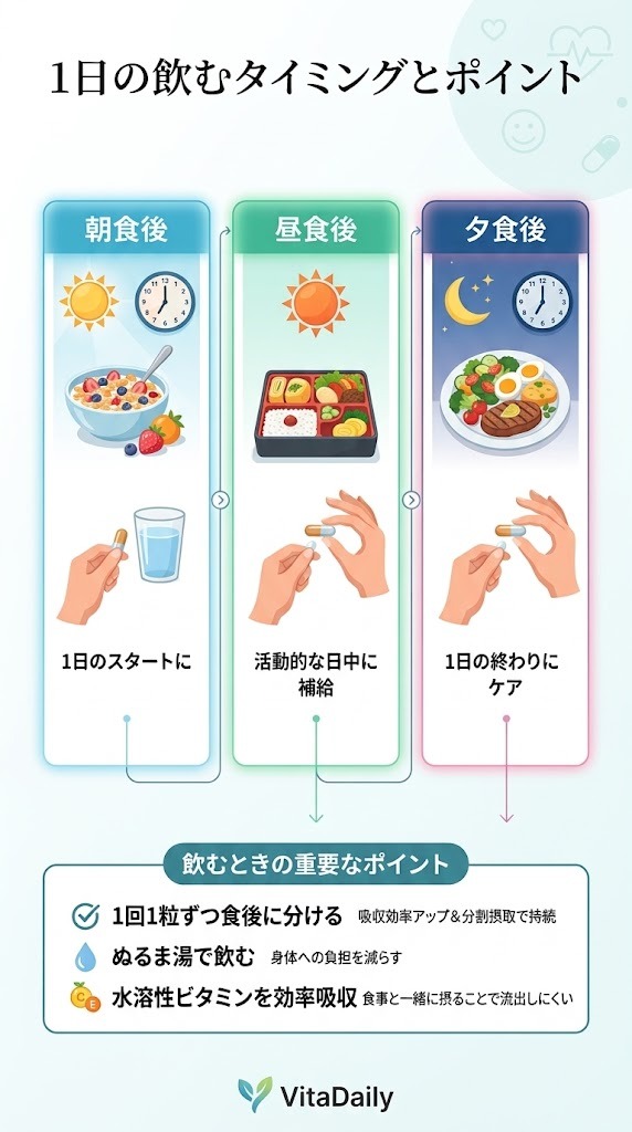 1日の生活リズムに合わせたエレビットの効率的な飲むタイミングとポイント